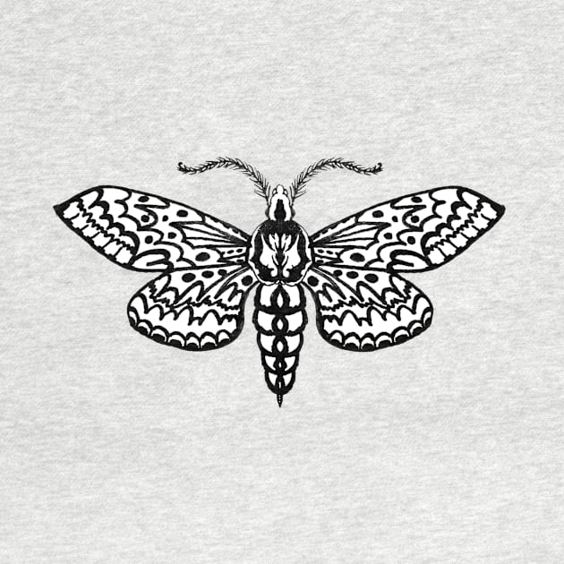 Sphinx Moth by Freja